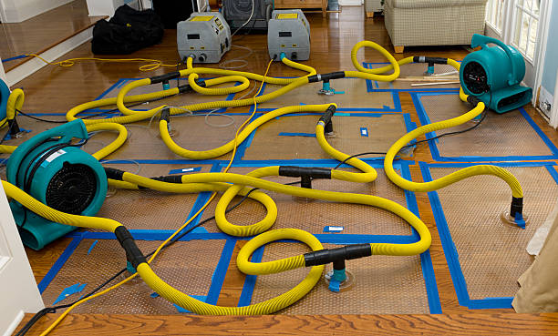 Professional Crawl Space Water Removal technician working in Douglas, MI
